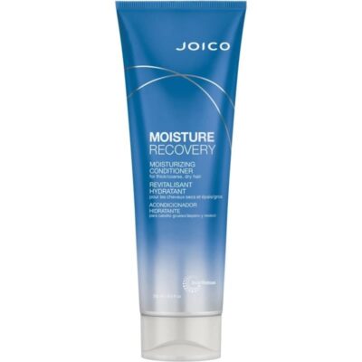revitalisant moisture recovery joico saint-georges beauce