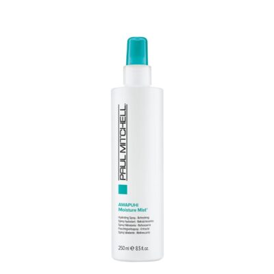 spray hydratant paul mitchell saint-georges beauce