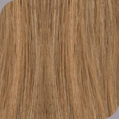 color excel 7.3 saint-georges beauce