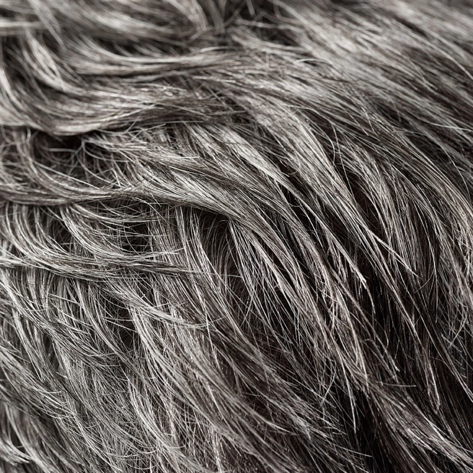 Pâte Modelante Rough Luxury 50ml- Oribe – Image 4